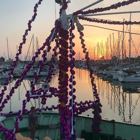 Le Tricorne Daire Saint-Vaast-la-Hougue Dış mekan fotoğraf