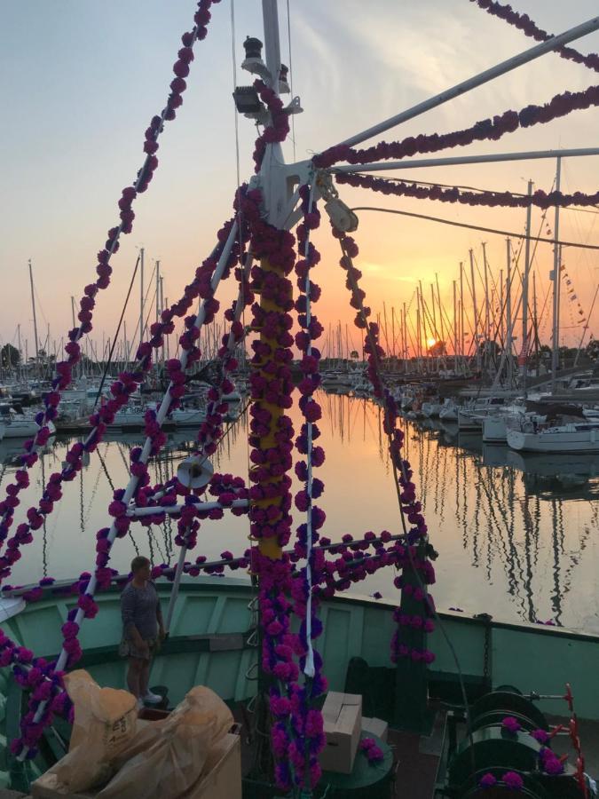 Le Tricorne Daire Saint-Vaast-la-Hougue Dış mekan fotoğraf